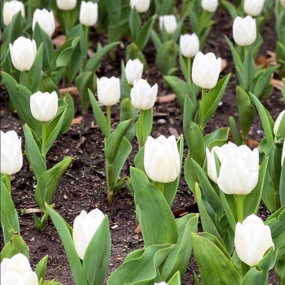 Meet your Posher, Melinda - Picture 1 of 1